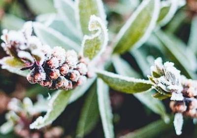 郑州浩创梧桐花语