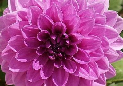 通往天国的阶梯