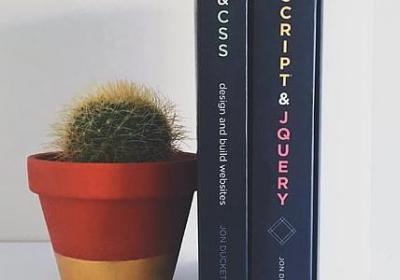 郁金香能放室内吗