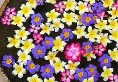 车厘子怎么保鲜