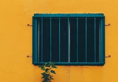 辣椒育苗方法和时间