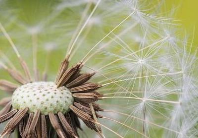 都市花语类似的小说