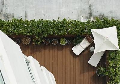 辣椒苗什么时候育苗