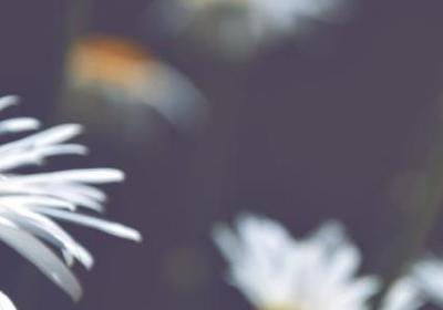 辣椒什么时候种植最好