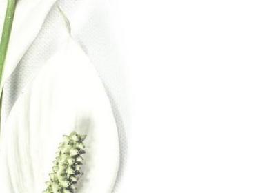 金桔泡水喝的功效