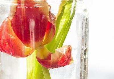 车厘子能放冰箱吗