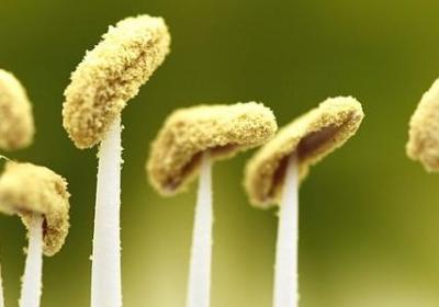 远洋一方花语苑