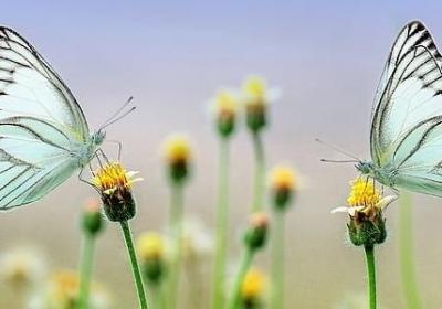 金玉满堂什么意思