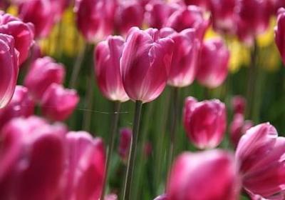 金玉满堂是什么意思