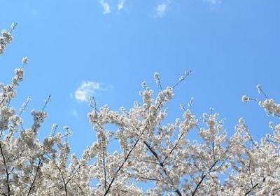降火的蔬菜