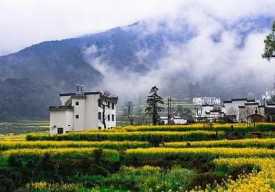香蕉寒性还是温性