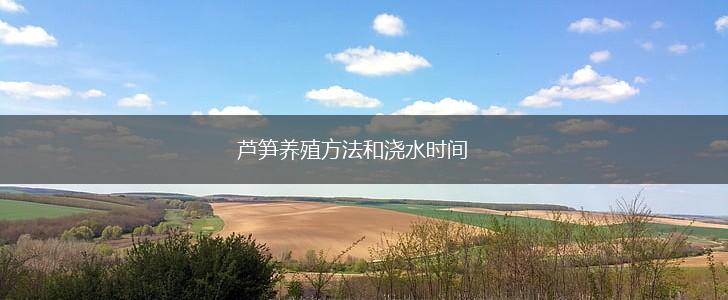 芦笋养殖方法和浇水时间,第1张