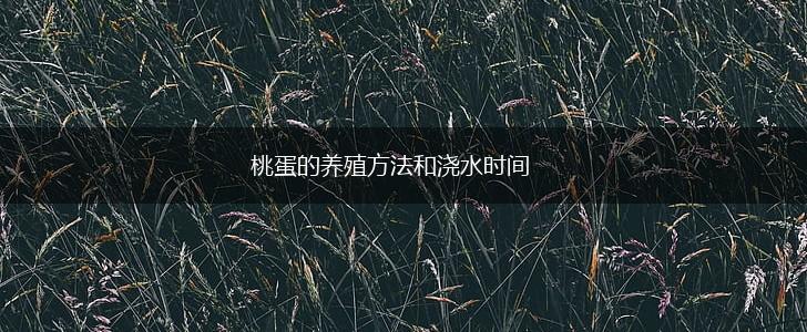 桃蛋的养殖方法和浇水时间,第1张
