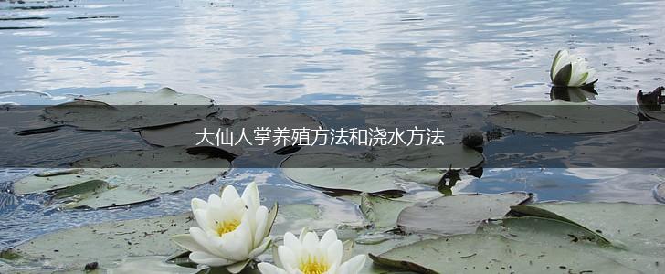 大仙人掌养殖方法和浇水方法,第1张