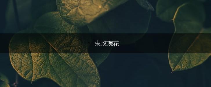 一束玫瑰花,第1张