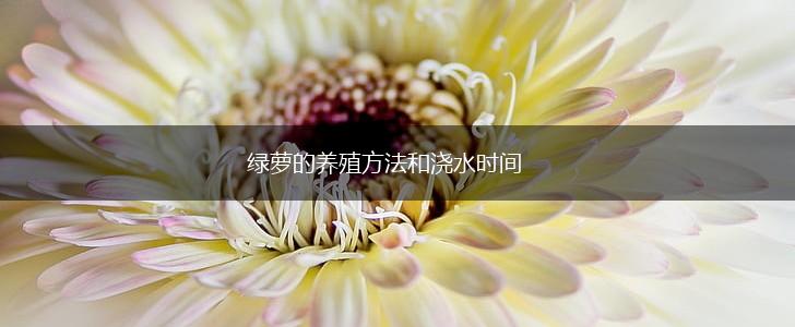 绿萝的养殖方法和浇水时间,第1张