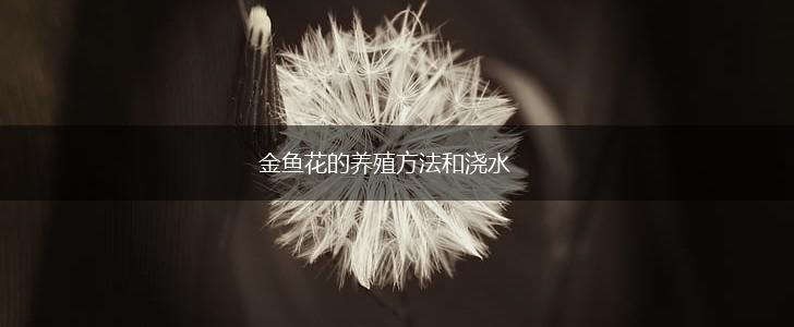 金鱼花的养殖方法和浇水,第1张