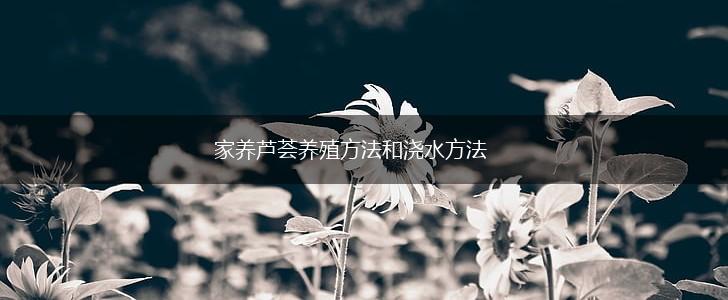家养芦荟养殖方法和浇水方法,第1张