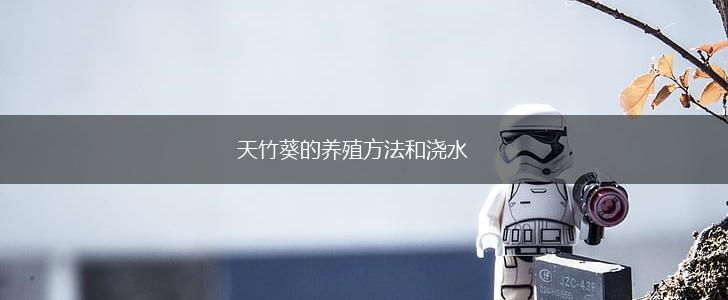 天竹葵的养殖方法和浇水,第1张