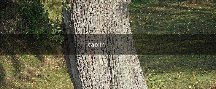 caixin,第1张