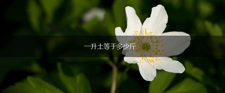 一升土等于多少斤,第1张