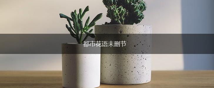 都市花语未删节,第1张 都市花语未删节,第1张