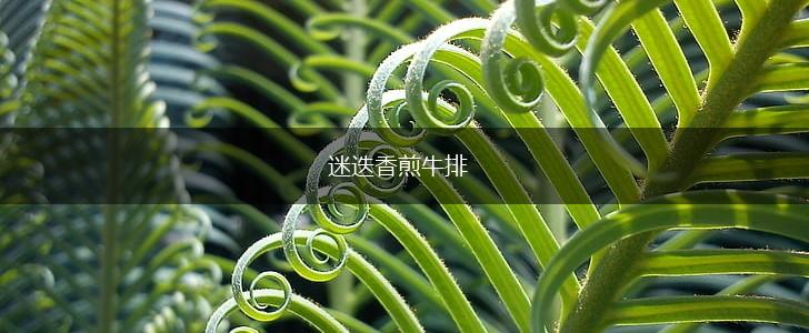 迷迭香煎牛排,第1张