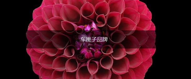 车厘子品牌,第1张