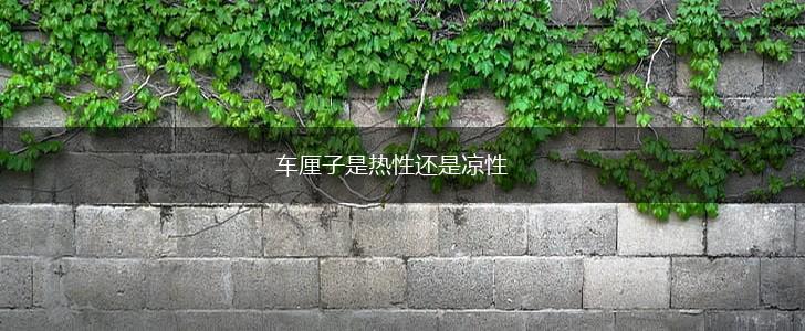 车厘子是热性还是凉性,第1张