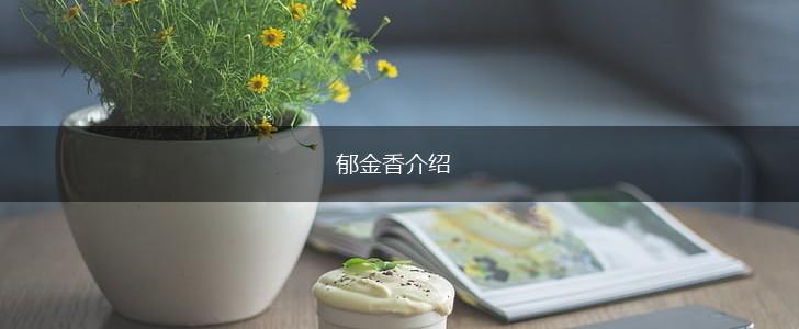 郁金香介绍,第1张 郁金香介绍,第1张