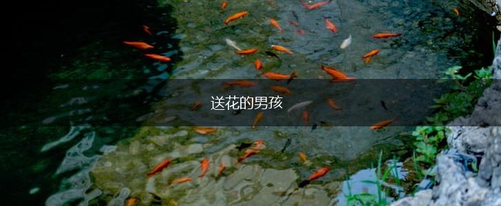 送花的男孩,第1张