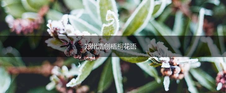 郑州浩创梧桐花语,第1张