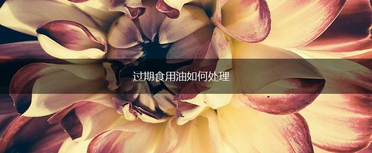 过期食用油如何处理,第1张