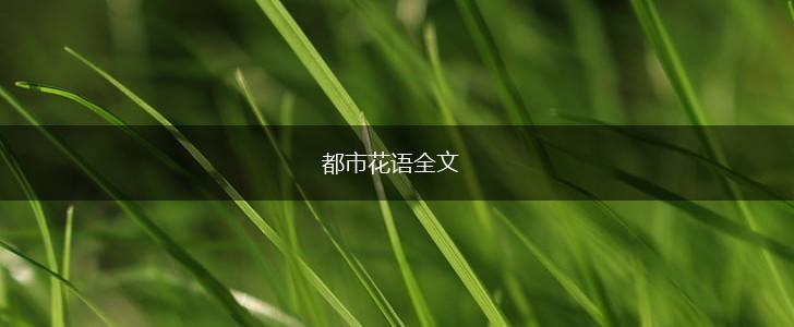 都市花语全文,第1张