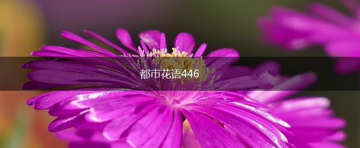 都市花语446,第1张 都市花语446,第1张