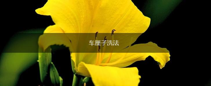 车厘子洗法,第1张