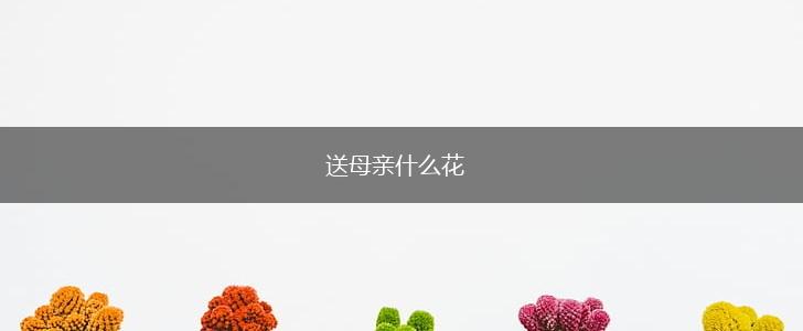 送母亲什么花,第1张