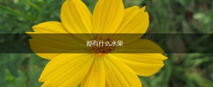 都有什么水果,第1张 都有什么水果,第1张