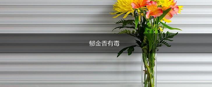 郁金香有毒,第1张