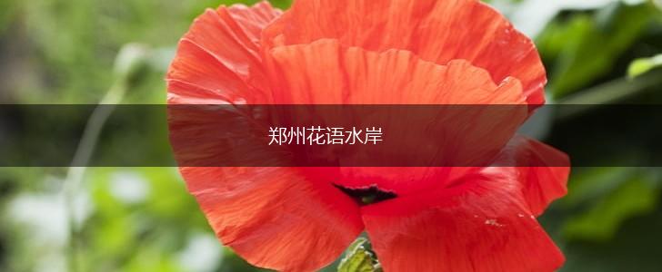 郑州花语水岸,第1张