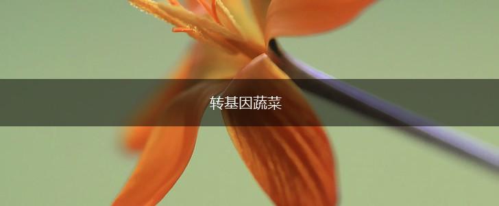 转基因蔬菜,第1张