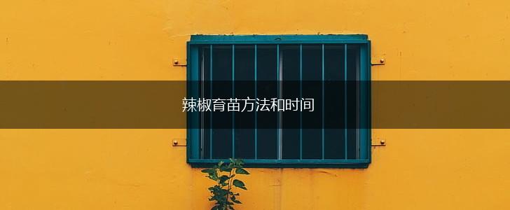 辣椒育苗方法和时间,第1张