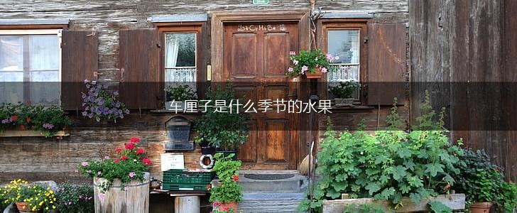 车厘子是什么季节的水果,第1张