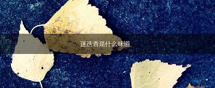 迷迭香是什么味道,第1张