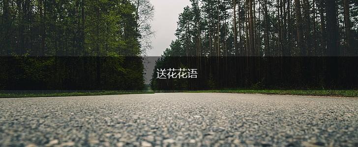 送花花语,第1张