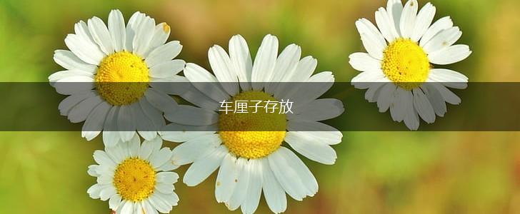 车厘子存放,第1张 车厘子存放,第1张