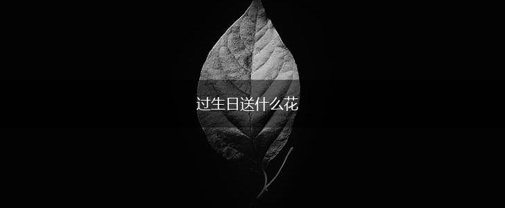 过生日送什么花,第1张 过生日送什么花,第1张