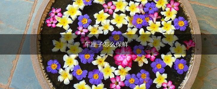 车厘子怎么保鲜,第1张