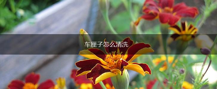 车厘子怎么清洗,第1张