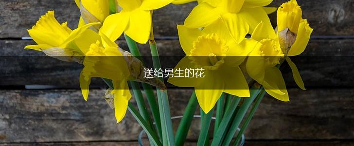送给男生的花,第1张